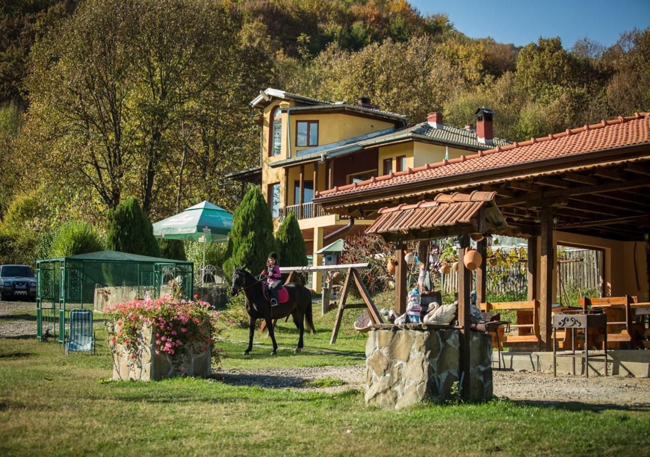 Guest House Alfa Daniel Balkanec Kültér fotó